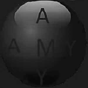 Amygws (AMY/USD)