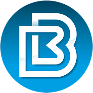 BitBay (BAY/USD)