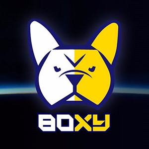 BoxyCoin (BOXY/USD)
