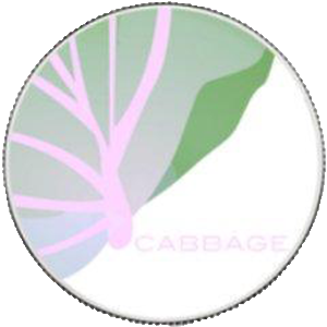 CabbageUnit (CAB/USD)