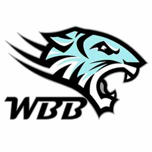 Wild Beast Coin (WBB/USD)